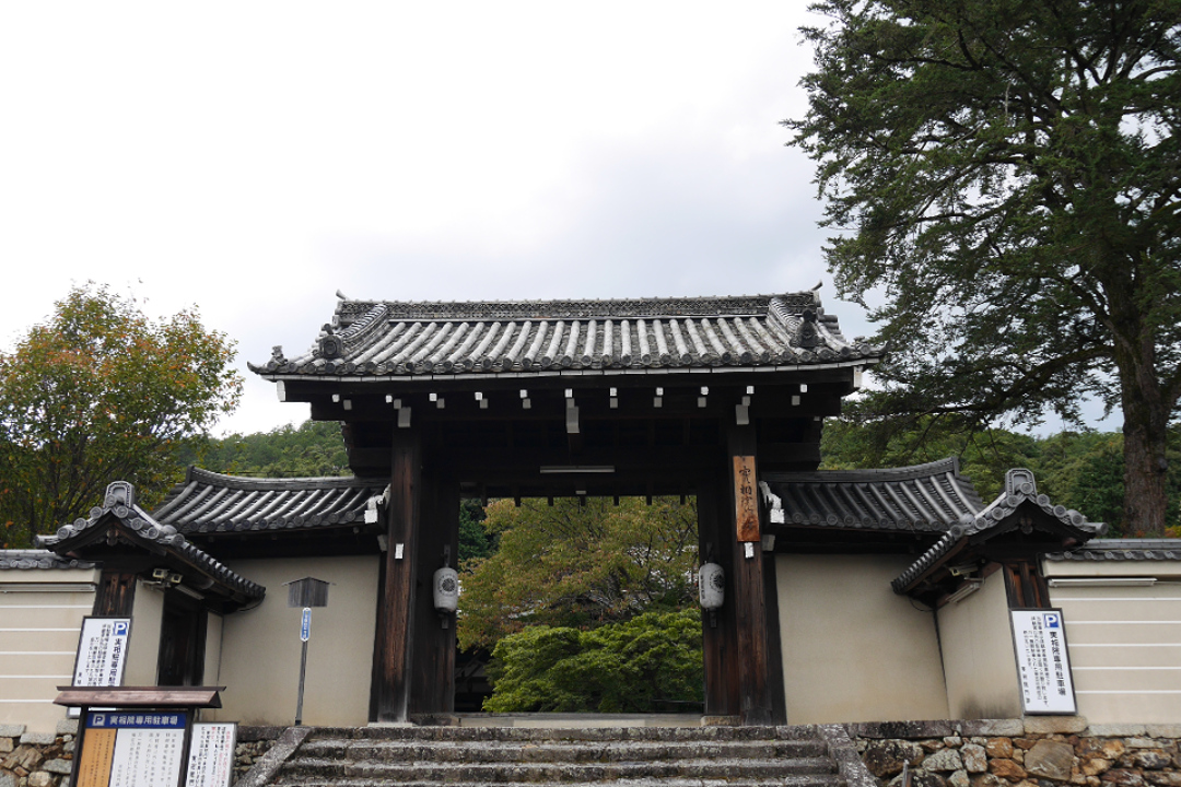 心の安らぎを求めた都人が愛した静寂の地 “ 岩倉 ”歴史さんぽ♪  真紅の紅葉が彩る「 実相院 」と、古代の信仰形態が残る山住神社を参拝