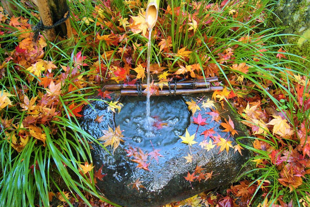 『 平家物語 』の悲恋が伝わる祇王寺から、風情ある民家が並ぶ愛宕街道を歩いて奥嵯峨へ。愛宕念仏寺では1200体の石造羅漢像がずらり勢ぞろい!