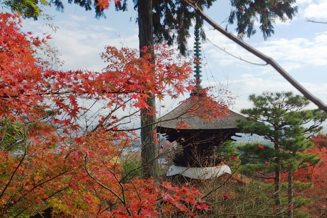 嵯峨野の絶景紅葉さんぽ。必見!全山紅葉の宝筐院と常寂光寺へ 奥嵯峨エリアでは「 誰も訪れない紅葉のスポット 」へもご案内