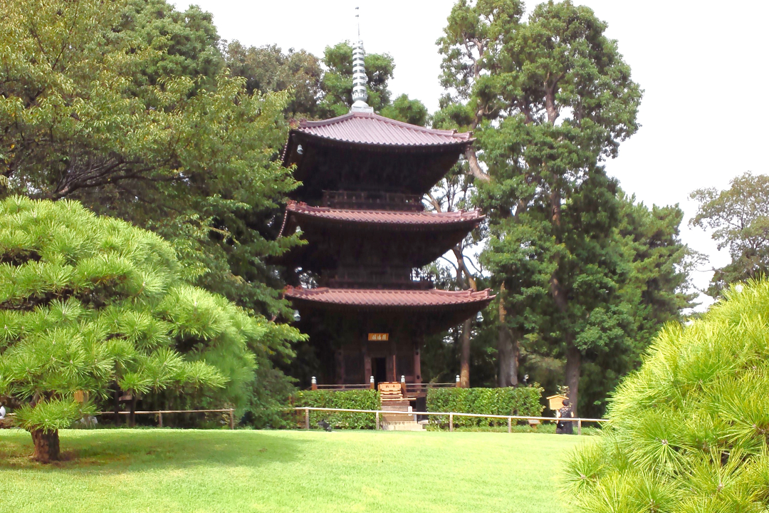 【 東京 】絶景!紅葉&雲海庭園【 ホテル椿山荘東京 】フランス料理と 紅葉が彩る美しい庭園【 早稲田大学・大隈公園 】【 肥後細川庭園 】巡り
