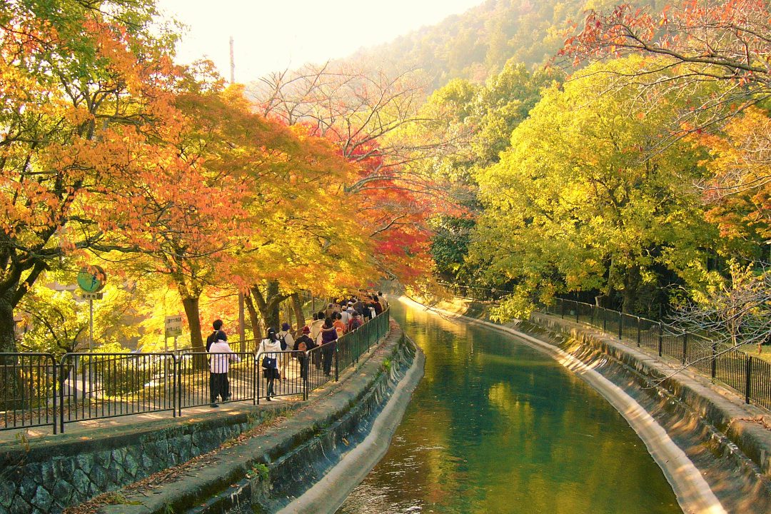 第2回は、晩秋の紅葉がひときわ輝く山科を水の路に沿って東へ!樹々の 間を走る疏水を眺めながら、参道が深紅に染まる古刹・毘沙門堂まで