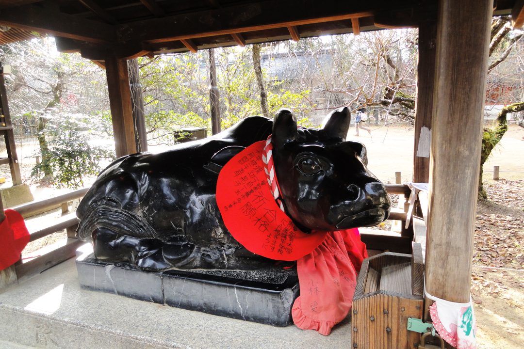 新年の干支「 丑 」ゆかりの「 北野天満宮 」で招福祈願と終い天神へ 西陣の旦那衆に愛される名店「 天㐂 」で味わう「 天ぷら京会席 」♪