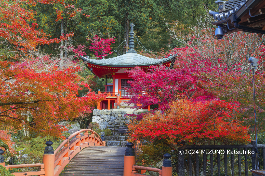 【2025年1月19日(日)開催】世界遺産登録30周年京都遺産さんぽ 平安貴族の美(山科・醍醐・宇治)