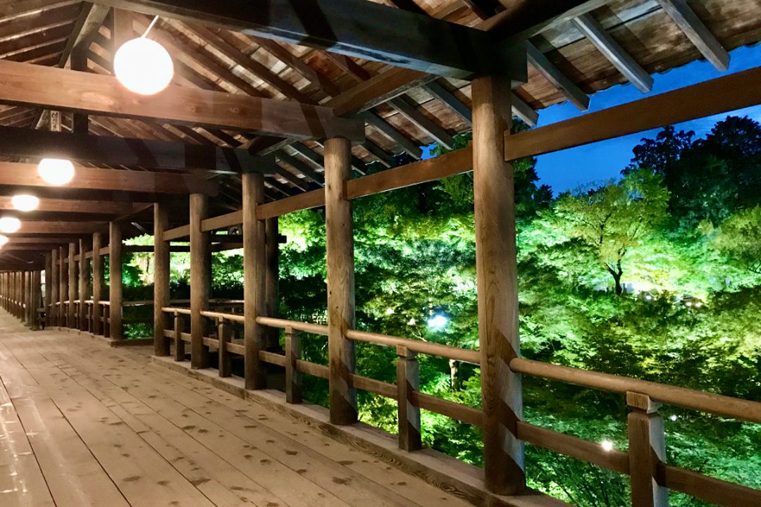 史上初 「 東福寺 – 通天橋・青もみじ – 」 夜ライトアップ特別拝観 陰陽の幻想世界が広がる 「 国宝・三門 / 本坊庭園 / 本堂・雲龍図 」