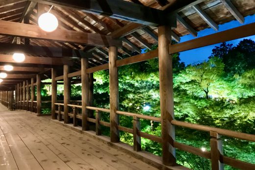 史上初 東福寺 通天橋 青もみじ 夜ライトアップ特別拝観 陰陽の幻想世界が広がる 国宝 三門 本坊庭園 本堂 雲龍図 オウンドメディア