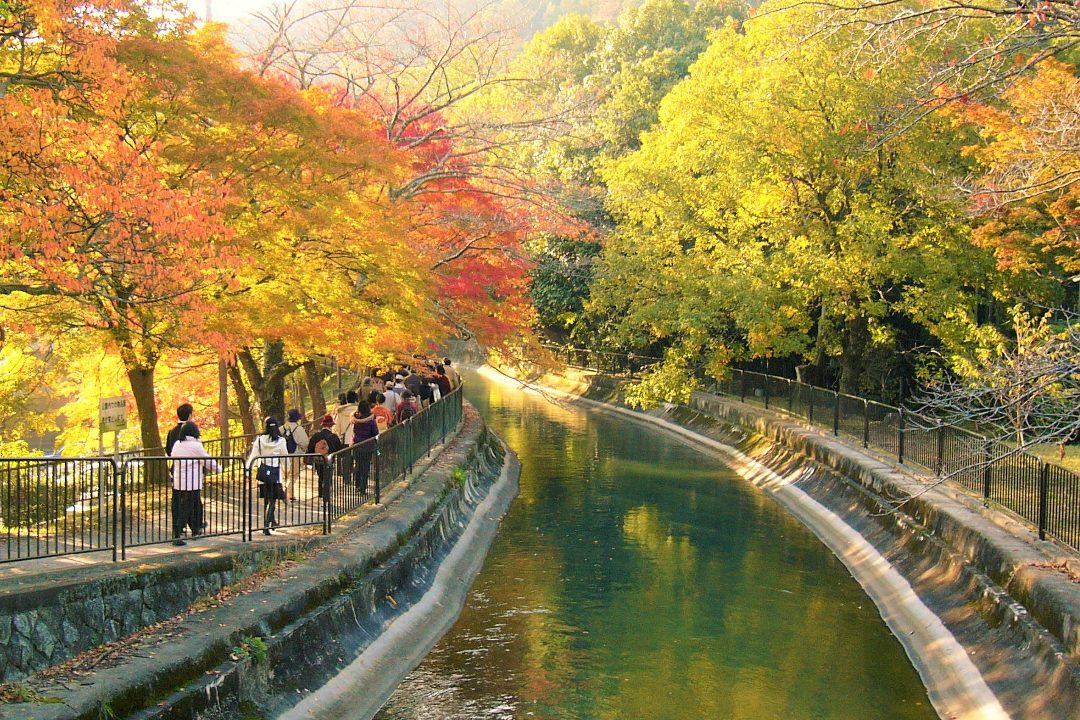 【モニターツアー】美しい紅葉が彩る 「 山科疏水 」 に沿う散策道を歩いて 奥深い歴史を秘めた 「 安祥寺 」 「 永興寺 」 特別拝観へ