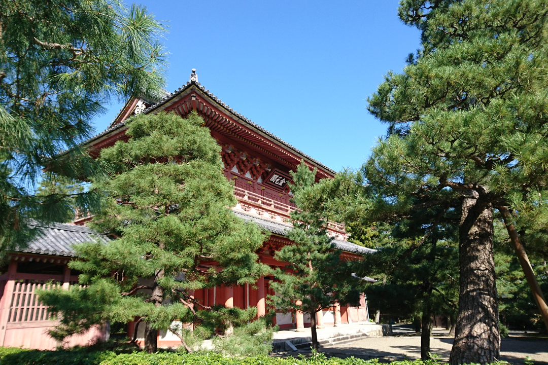 大徳寺「 聚光院 」狩野永徳筆・国宝障壁画46面の里帰り!特別拝観へ 聚光院「 閑隠席・枡床席 」京都検定1級テーマ“ 茶室 ”対策に必見!