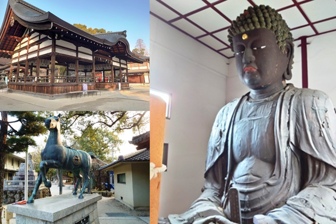 【「京の花たび」第138弾】年始恒例の初詣企画!2026年は午年ゆかりの藤森神社からスタート。今年のご利益を頂きながら、勝ち運も上昇!その後は、深草墨染界隈を巡り、欣浄寺にて通常非公開の「伏見大仏」も特別拝観します