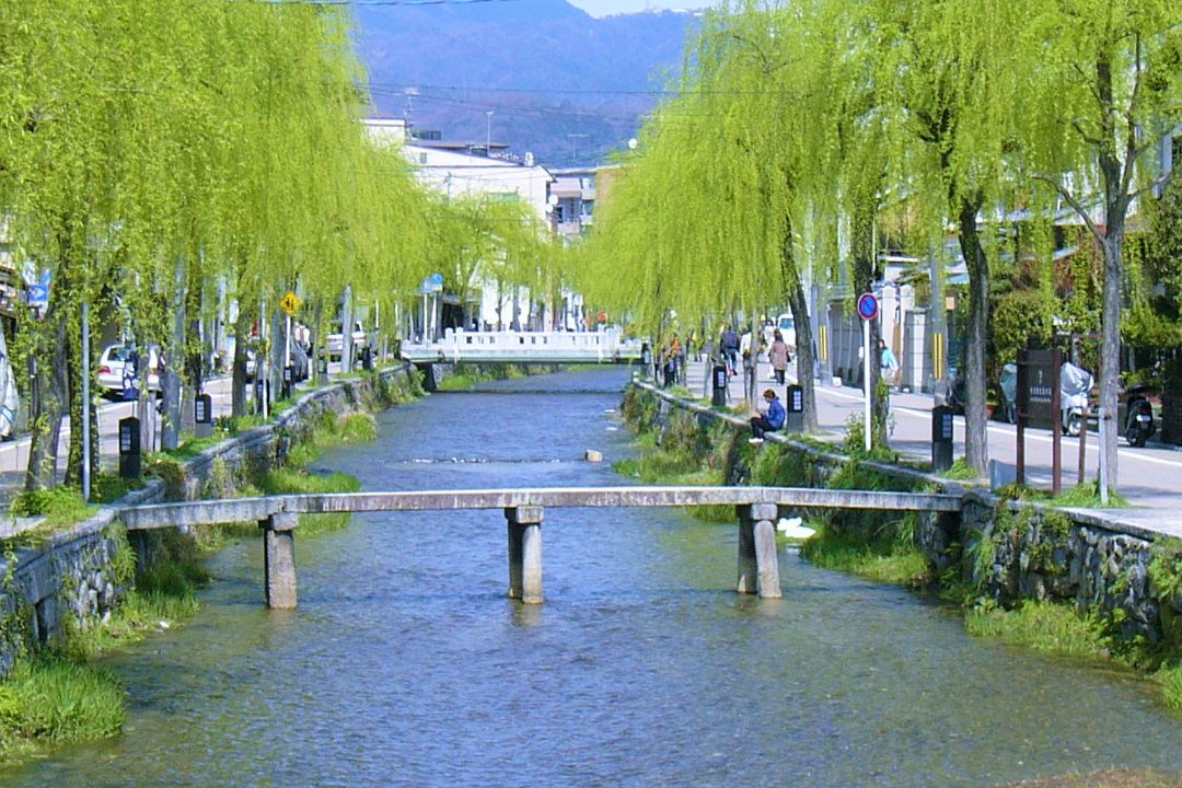 柳の新緑輝く祇園北エリア 白川のせせらぎに沿い 朱の社殿が美しい平安神宮へ