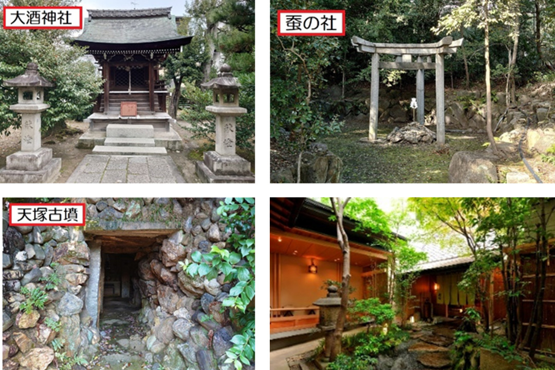 【復活「花たび」第126弾】京都の起源?秦氏が築いた古代ロマンの街・太秦へ 秦氏のルーツを辿り、謎に包まれた「三柱鳥居」、「大酒神社」、「いさら井」などを巡って最後は「天塚古墳」へ 旅の終わりは「花伝」にて京懐石ランチを♪