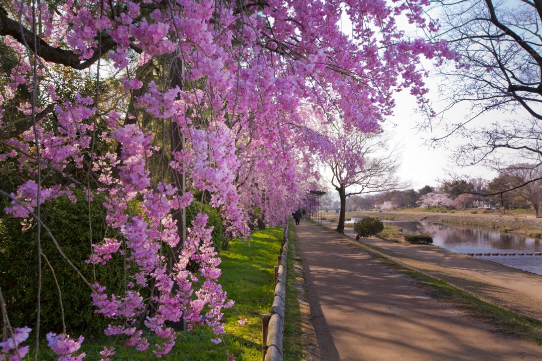 第1回 廃藩置県と士族の反乱