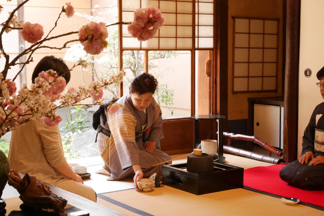 観桜ゆるり茶会