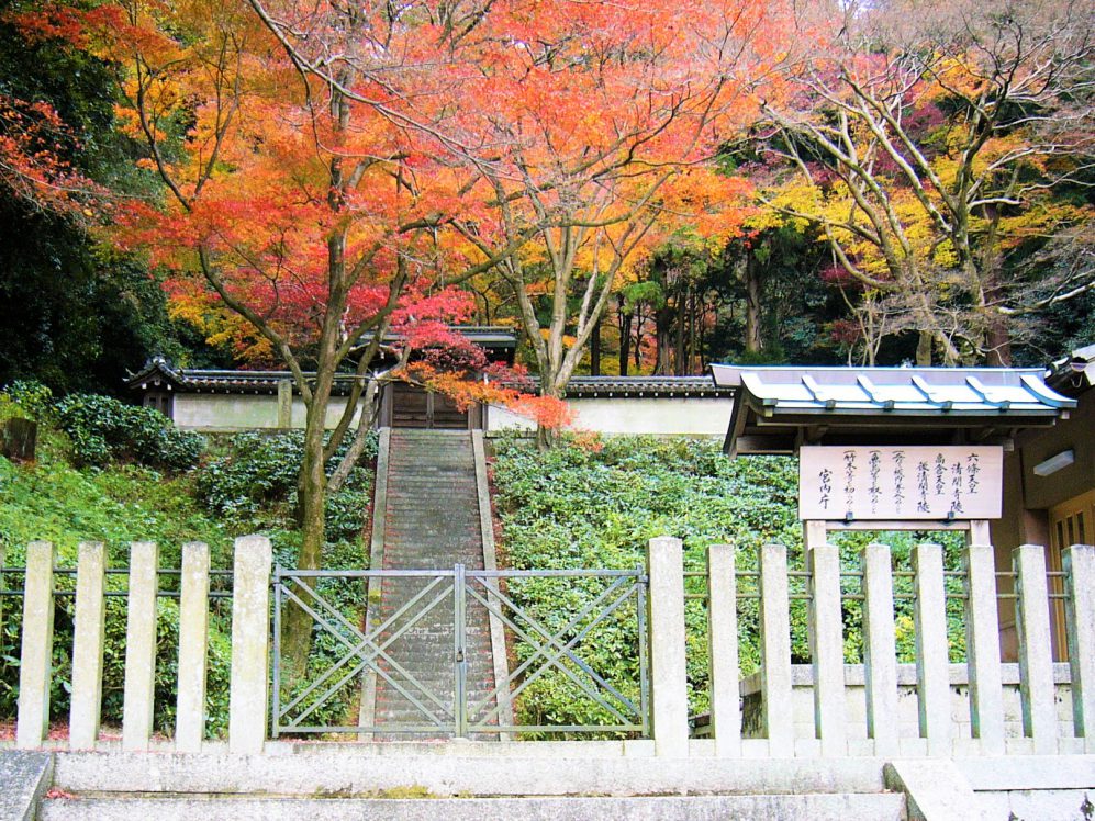 第9回 源平争乱の時代を生きた歴代天皇