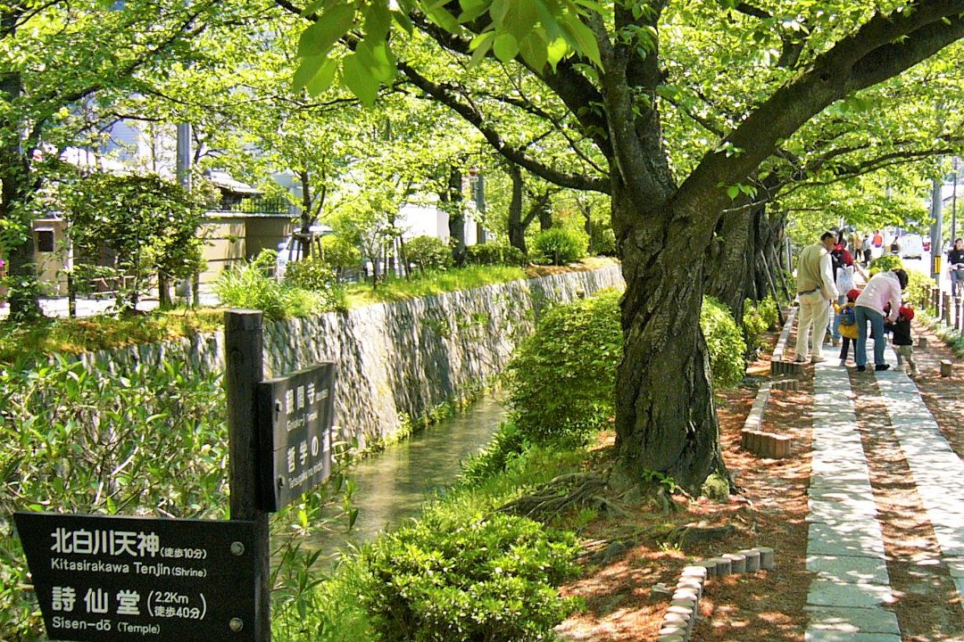 【モニターツアー】静かな住宅街を流れる「 白川疏水 」の散歩道 美の建築「 駒井家住宅 」、橋本関雪の美「 白沙村荘 」へ(1班:12時45分出発)