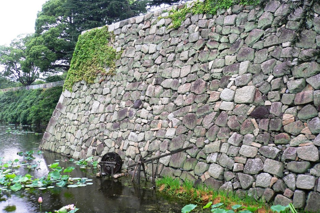 早春最初の桜並木へ淀の新名所・河津桜と二つの淀城跡を訪ねて