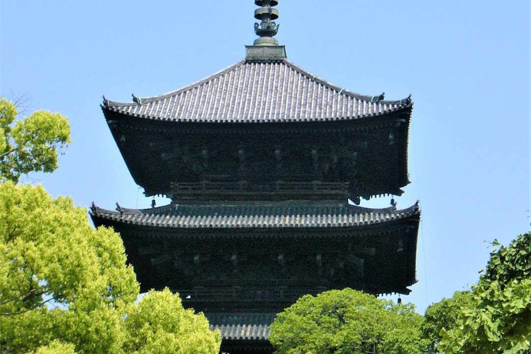 京都橘大学と共同企画! 弘法大師の足跡を辿って東寺と石上神社の参拝へ
