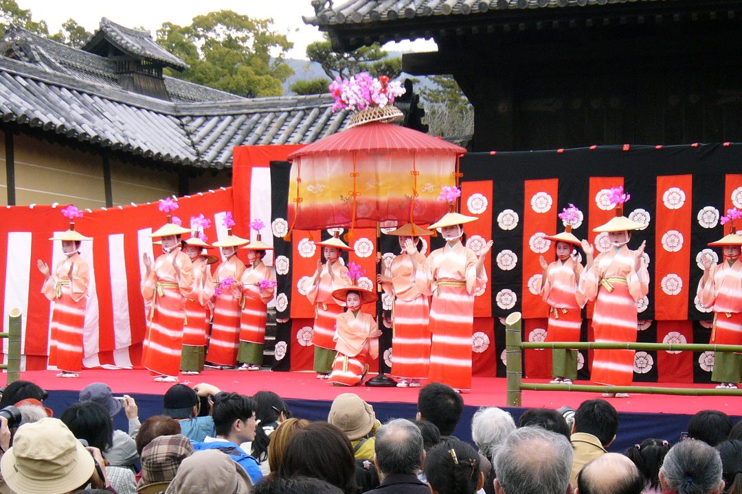 隨心院「はねず踊り」観賞 咲き競う小野の梅園と勧修寺の桜で春爛漫