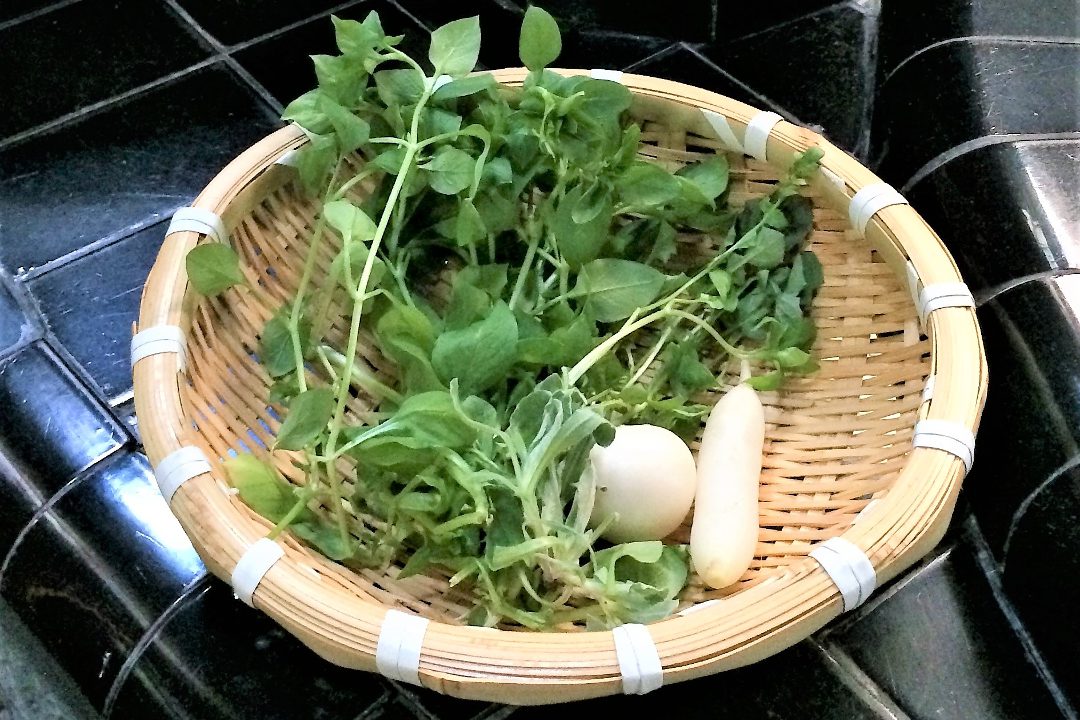 新春の七草の節句を迎え西院春日神社で息災祈願 離宮の史跡残る西院散歩