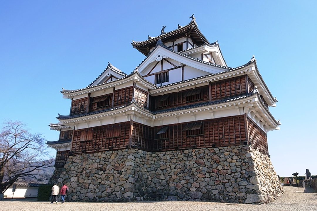 光秀が統治した福知山では明智光秀を神として祀る神社や、光秀が残した明智薮を見学。統治時代の石垣が残る福知山城と光秀ミュージアムへ