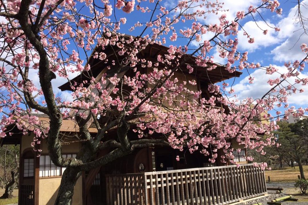 第4回 京都駅・河原町編 市街地の中へ姿を消したかつての御土居跡を探る
