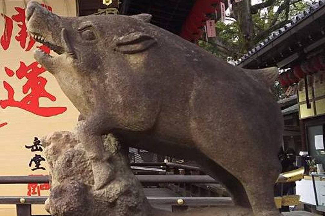 京都迎賓館の参観と新年の干支・イノシシにちなむ護王神社の参拝へ