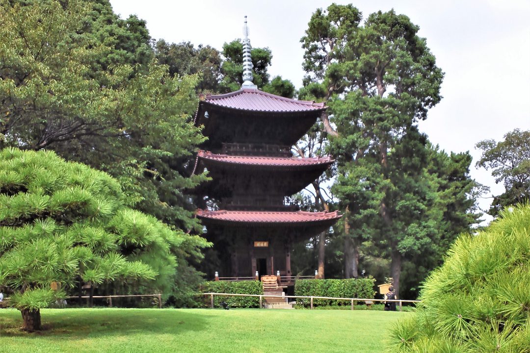 明治の偉人が眠る護国寺 新緑が輝く肥後細川庭園 ホテル椿山荘東京ランチ