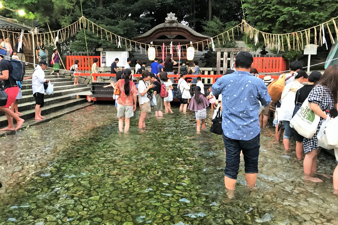 RAKURO京都1周年記念③ 桔梗が咲く廬山寺の庭と 冷!下鴨神社の御手洗祭