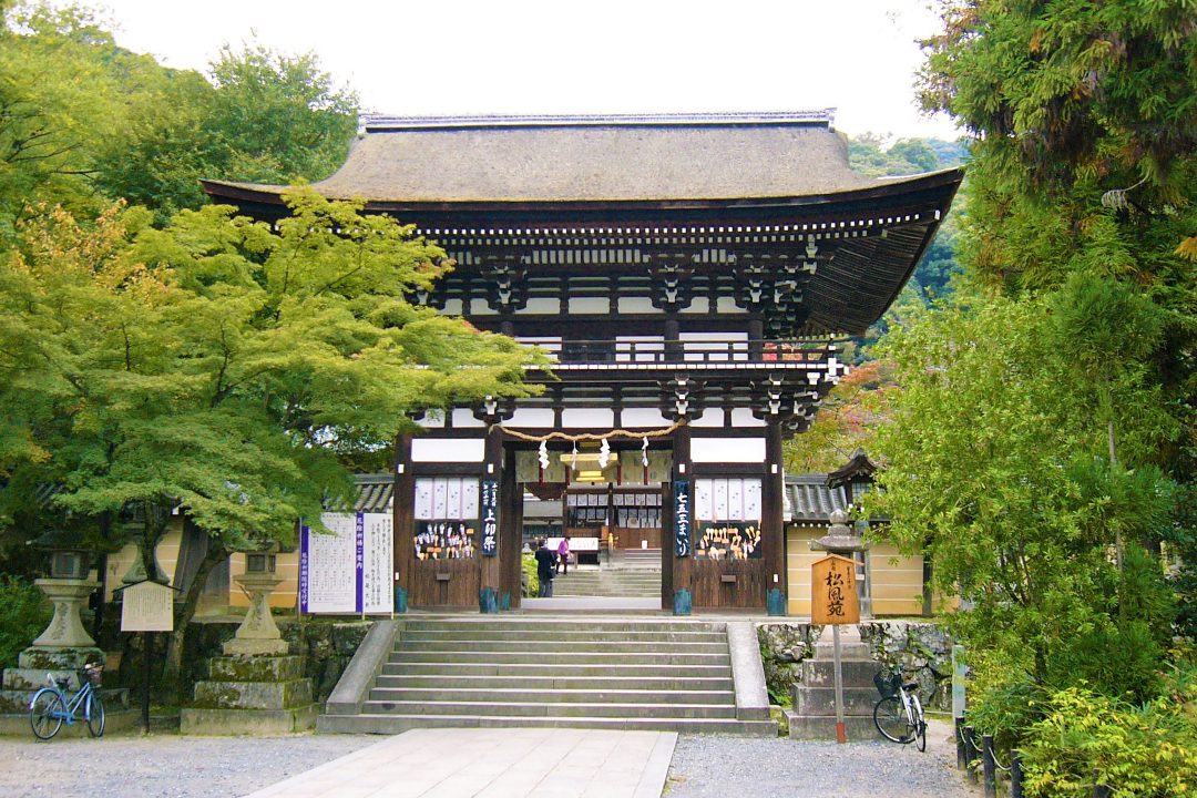 黄金色の山吹が咲き誇り豪壮な神輿がゆく松尾祭と西山の麓・新緑の地蔵院へ