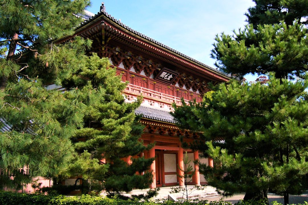 歴代天皇の陵墓参拝⑬ 南北朝時代の歴史を探り乱世を生きた天皇を偲ぶ