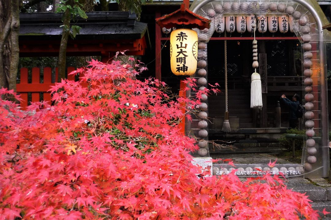 大阿闍梨による数珠供養と錦秋に輝く鷺森神社から金福寺までゆるり散歩