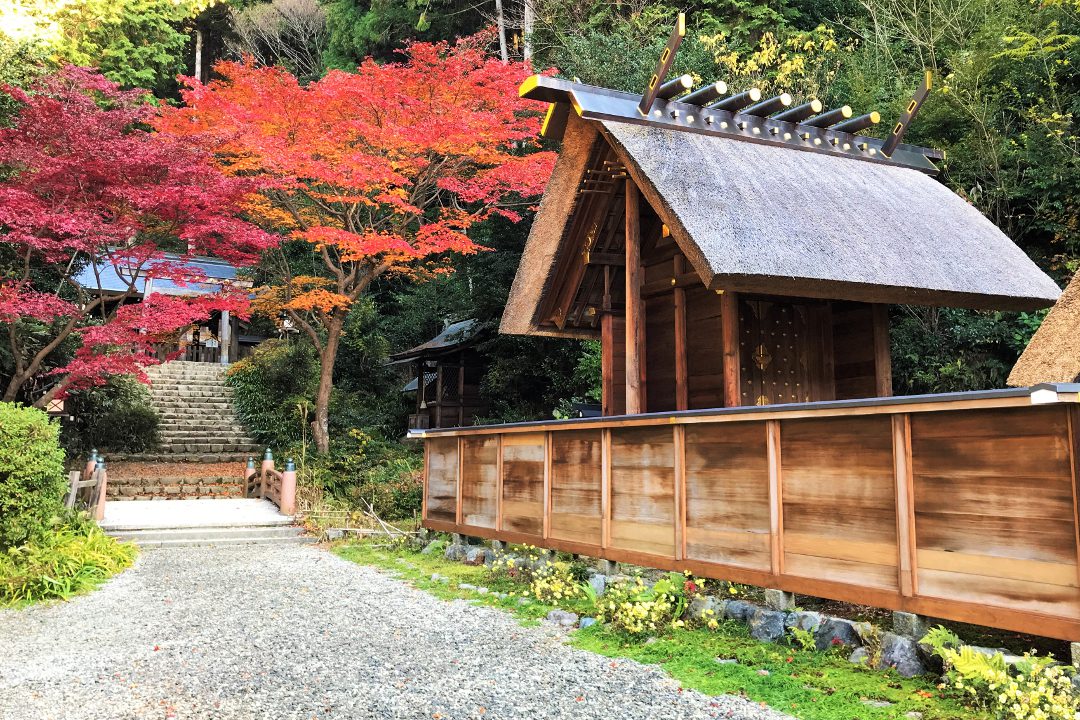 日向大神宮から南禅院へ 静寂の紅葉美を探して早朝の隠れた紅葉さんぽ