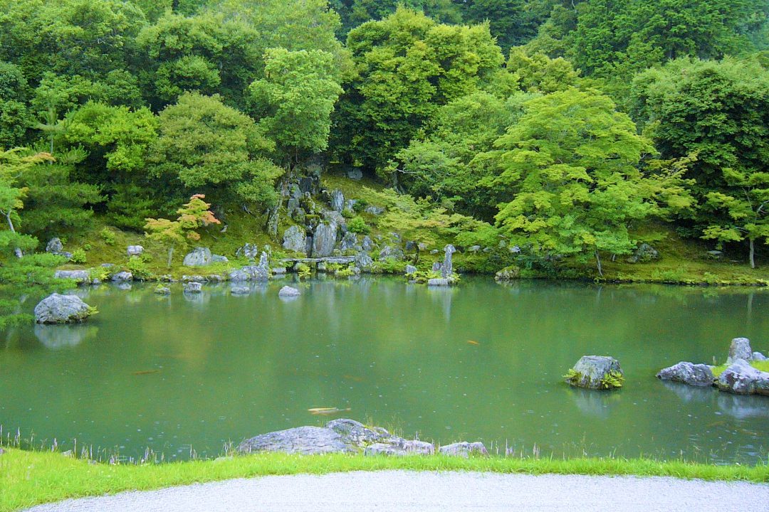 禅の名刹・天龍寺へ! 新緑に輝く曹源池庭園と法堂・雲龍図特別拝観