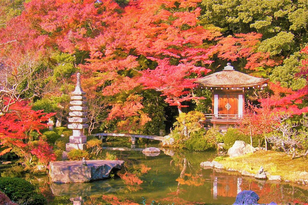山科の古刹・特別公開!安祥寺の十一面観音像と毘沙門堂を彩る紅葉へ