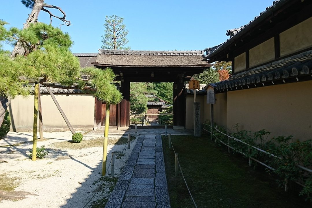 西陣千本から紫野へ 特別公開の大徳寺真珠庵 現代アートの襖絵を鑑賞