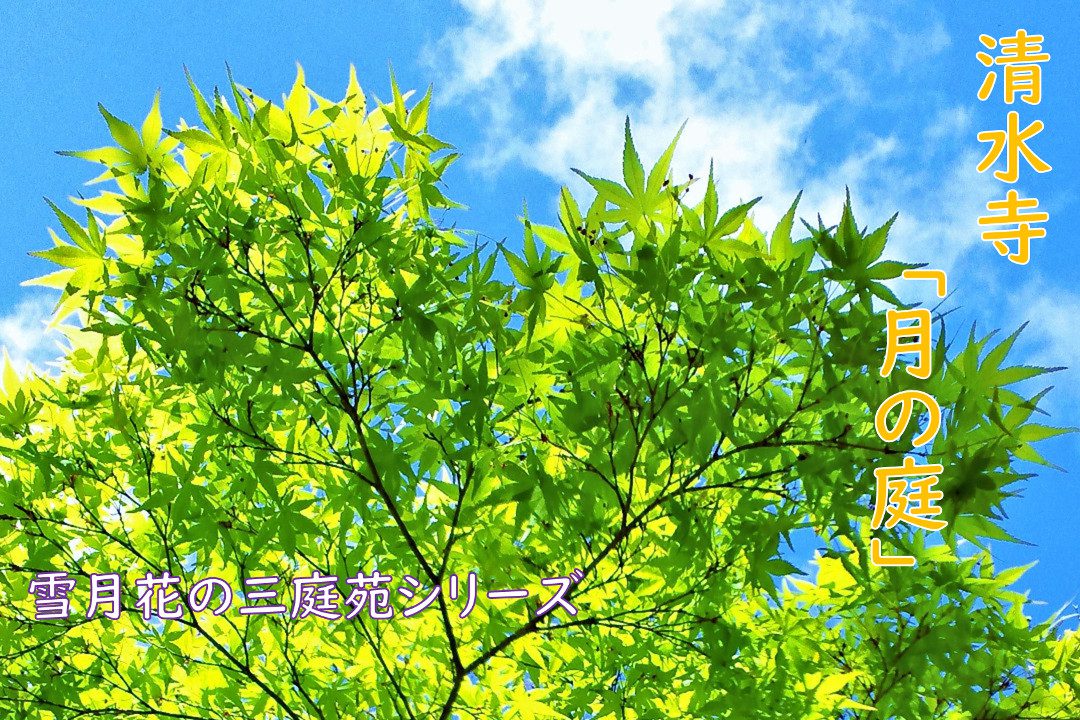 雪月花三庭苑のひとつ「 月の庭 」趣深い“ 石灯籠 ”を配した池泉庭園 小学校舎をリノベーションした「 ホテル ザ 青龍 京都清水 」ランチへ♪