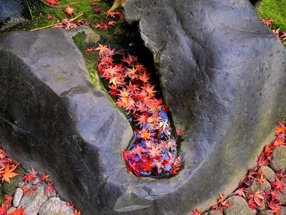 「紅葉」の菓子とゆるり茶会