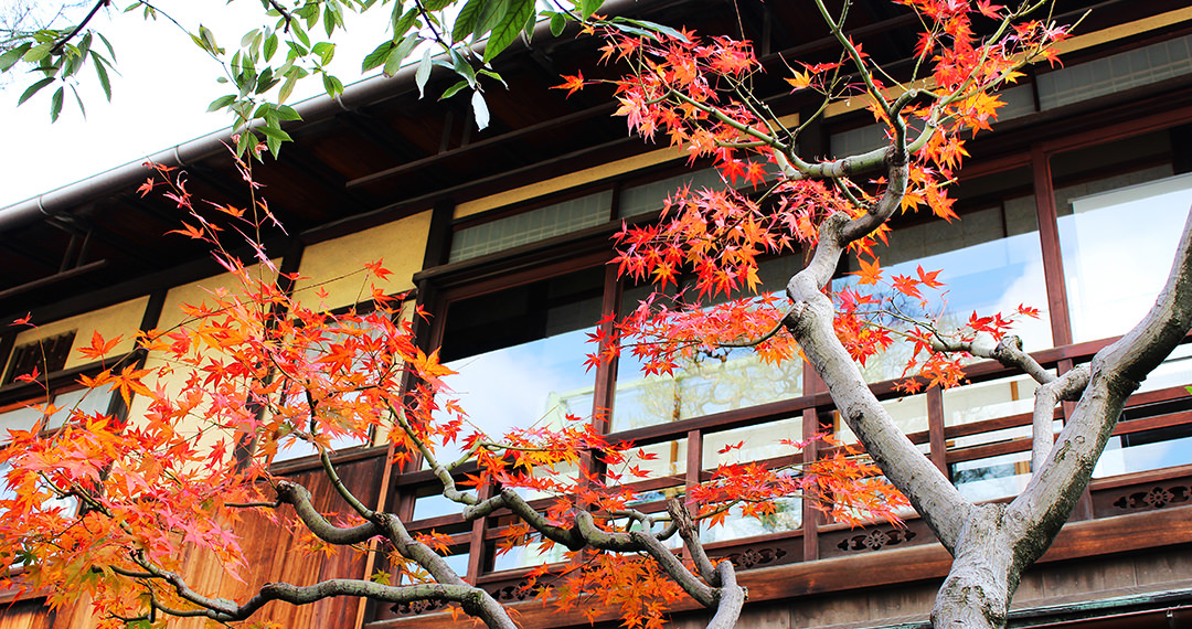 京町家の四季：秋